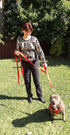 Dog Leash 6ft Long - Heavy Duty Reflective Double Handles Lead for Control Safety Training - Padded Two Handle Leashes