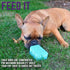 Chew King Premium Dog Toy, Medium, Durable Natural Rubber Fillable Toy for Frozen Feeding, All Breed Sizes