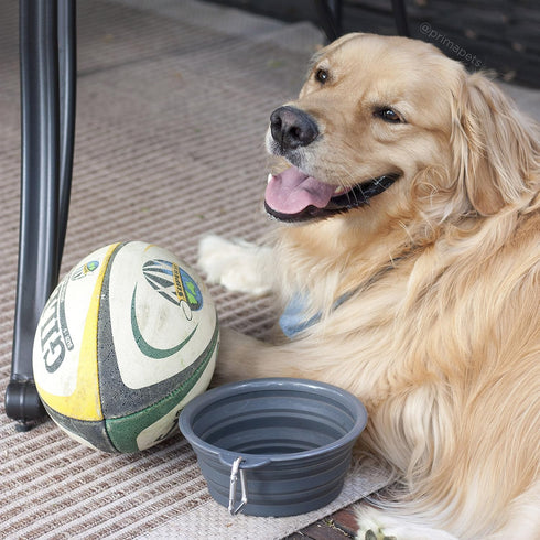 Prima Pets Collapsible Silicone Water Travel Bowl - Portable and Durable Pop-up Feeder for Dogs and Cats, Large (5 Cups)