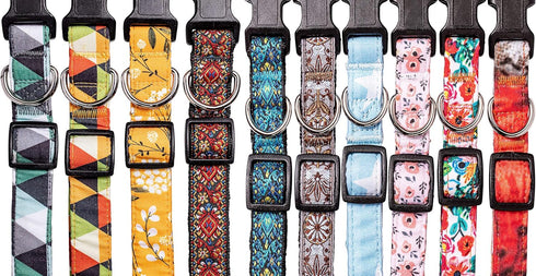Dog Collars for Small, Medium & Large Dogs - Adjustable, Durable Patterns for Male and Female Dogs - White Woven
