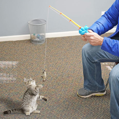 Fairly Odd Novelties Cat Fishing Pole Toy, Funny Interactive Fish Toy for Cats, Kittens, and Small Pets, Multi-Colored