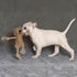 SPOT Dura-Fused Leather Jungle Animals Dog Toy with Squeakers and Rope Limbs, 14in, Assorted Styles