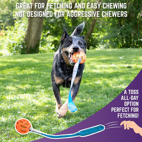 Chew King Ball Launcher with 2.5" Balls, 3" Balls, Medley 3pk/2.75", and Float and Glow Flyers