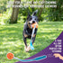Chew King Ball Launcher with 2.5" Balls, 3" Balls, Medley 3pk/2.75", and Float and Glow Flyers