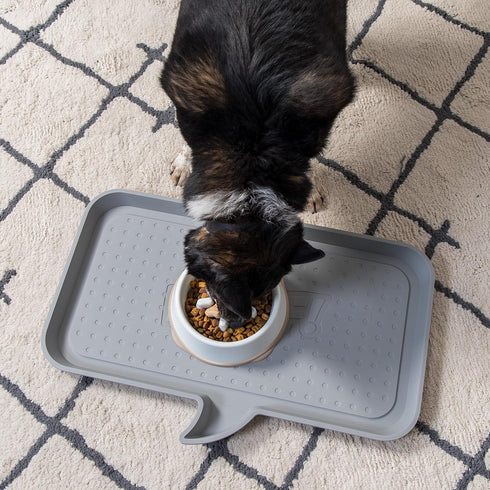 IRIS USA 4-Cup Slow Feeder Dog Bowl, Anti-Choking & Anti-Slip for Healthy Digestion