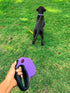 Tuff Pupper Heavy Duty Retractable Dog Leash, 16 ft with Reflective Stitching for Nighttime Safety for Dogs Up to 120