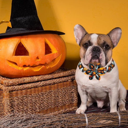 Halloween Dog Collar with Sunflower Bow - Holiday Pumpkin and Spook Collar for Small, Medium, Large Pets, Puppies
