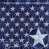 WDGG American Flag for Boat, 12x18 inches with 4 Heavy Duty Clips, Embroidered Stars and Brass Grommets