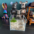 Small Nano Tall Rimless Tank, Glass Betta Fish Tank, Mini Aquarium (0.7 Gallon, 5.9X4.3x5.1 inch)