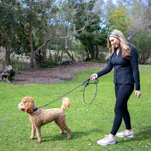 6 Foot Dog Leash with 2 Extra Padded Handles - Heavy Duty No Pull Rope Lead with Lockable Carabiner for Medium to Large