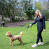 6 Foot Dog Leash with 2 Extra Padded Handles - Heavy Duty No Pull Rope Lead with Lockable Carabiner for Medium to Large