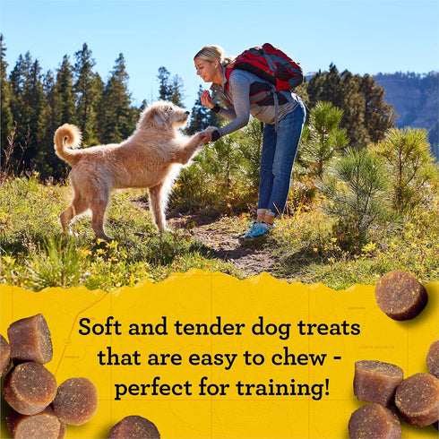 Zuke’s Mini Naturals Soft And Chewy Dog Treats for Training Pouch, Chicken Recipe - 6.0 OZ Bag