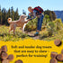 Zuke’s Mini Naturals Soft And Chewy Dog Treats for Training Pouch, Chicken Recipe - 6.0 OZ Bag