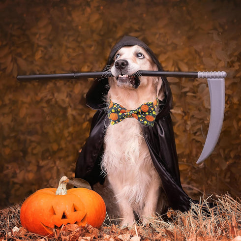 Halloween Dog Collar with Bow Tie, 2 Pack Holiday Pumpkin Ghost Collar for Boys and Girls Small Medium Large Pets