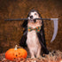 Halloween Dog Collar with Bow Tie, 2 Pack Holiday Pumpkin Ghost Collar for Boys and Girls Small Medium Large Pets