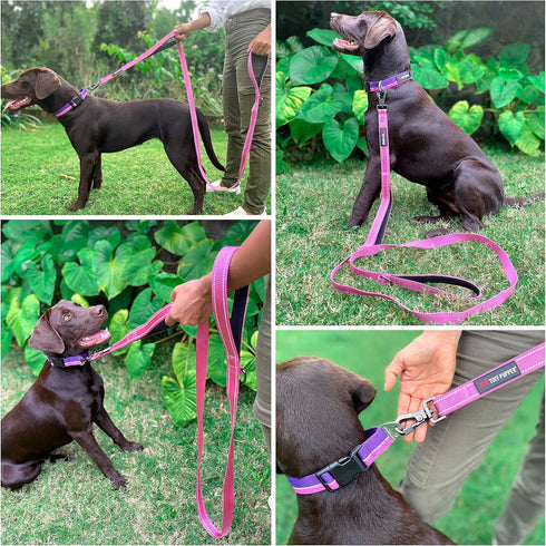 Tuff Pupper Heavy Duty Double Handle Dog Leash - 6 Foot Reflective with Twist Locking Carabiner for Strong Dogs