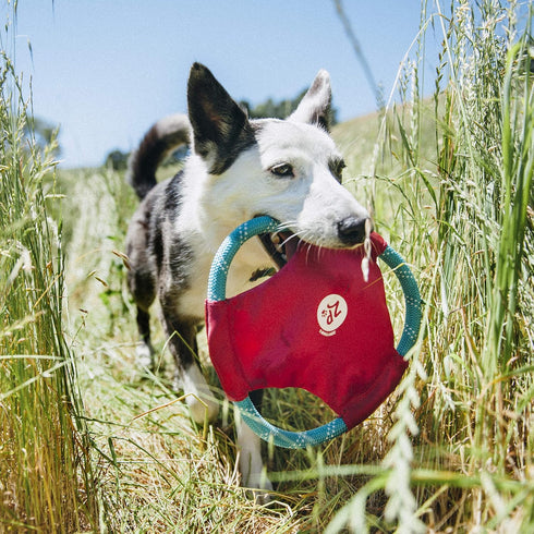 ZippyPaws Rope Gliderz Dog Toy
