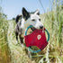 ZippyPaws Rope Gliderz Dog Toy