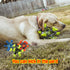 Dog Chew Squeaky Toys - Tug of War Stuffed Jack Bone Toy with Squeakers, Durable Interactive Toy for All Dog Sizes,