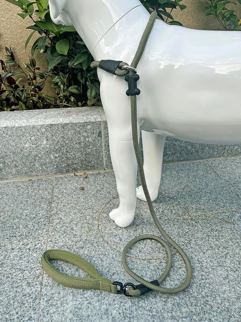 Slip Lead Dog Leash, 6ft - Strong Nylon Rope, Anti-Choking, Anti-Pull for Small Medium Large Dogs (Army Green)