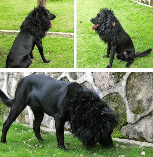 Onmygogo Lion Mane Wig for Dogs with Ears, Funny Pet Costumes for Halloween Christmas, Size L, Black