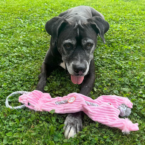 SPOT Skinneeez Barnyard Tug Dog Toy, 23 Inch, Stuffing-Free, Rope Design for Strong Chewers, Squeaker & Crinkle