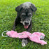 SPOT Skinneeez Barnyard Tug Dog Toy, 23 Inch, Stuffing-Free, Rope Design for Strong Chewers, Squeaker & Crinkle