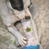 Puppy Chiefer 3000 Funny Dog Toys, Plush Squeaky Weed for Medium, Small, Large Dogs, Cute Birthday Gifts