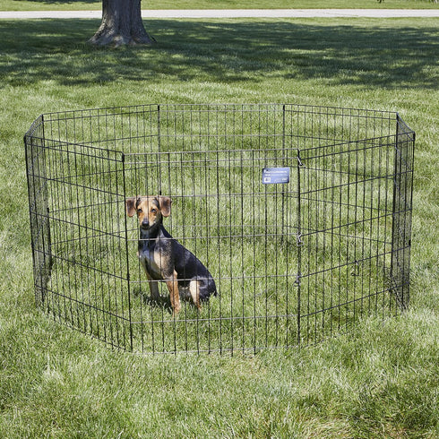 MidWest Homes For Pets Foldable Metal Dog Exercise Pen / Pet Playpen, 24'W x 30'H