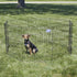 MidWest Homes For Pets Foldable Metal Dog Exercise Pen / Pet Playpen, 24'W x 30'H