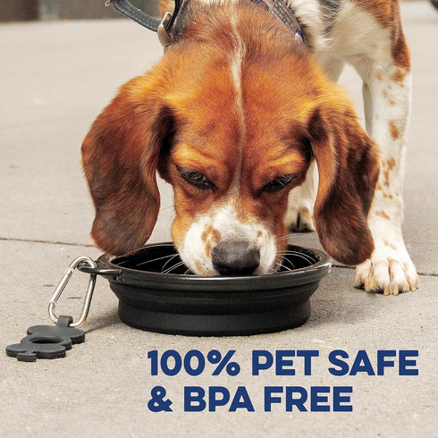 Large Collapsible Dog Bowl 1000 mL, Sturdy Reinforced Rim, Includes Carabiner & Water Bottle Holder Keychain, Black
