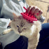 Cat Brush Shedding Grooming - Soft Massage Cat Tongue Brush, Comforting Licking for Your Cat, Surprise Pet Gifts