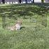 MidWest Homes for Pets Dog Exercise Pen & Playpen, 18-Inch, No Door, Black Color
