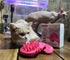 Cat Brush Shedding Grooming - Soft Massage Cat Tongue Brush, Comforting Licking for Your Cat, Surprise Pet Gifts